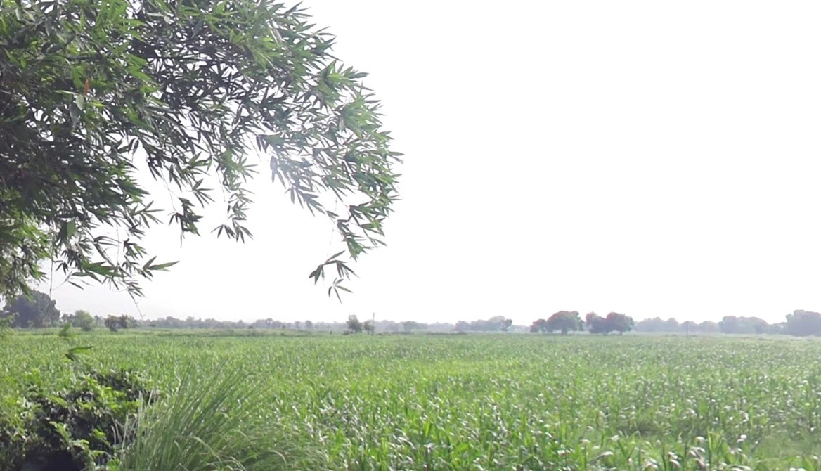 Q5CF+QPQ, Raghunathpur, Uttar Pradesh 277001, India