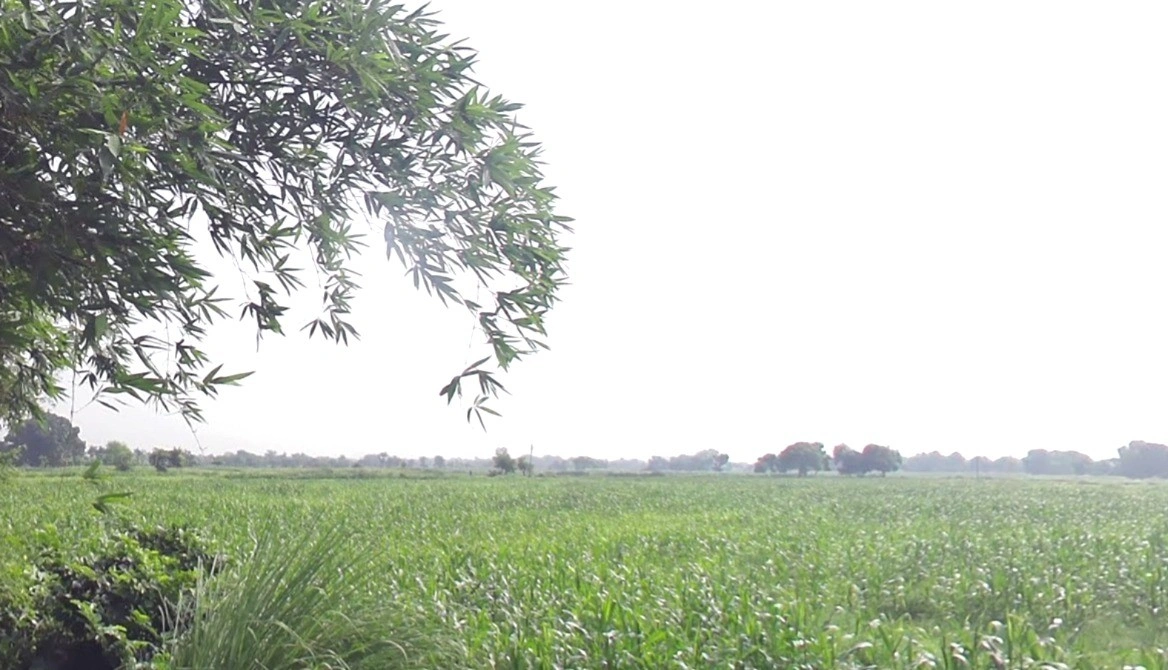 Q5CF+QPQ, Raghunathpur, Uttar Pradesh 277001, India