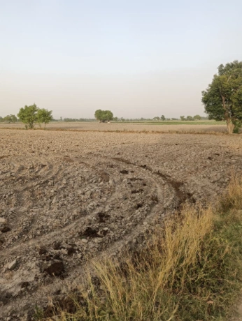 Mirjapur Bhondwa, Madhya Pradesh 450771, India