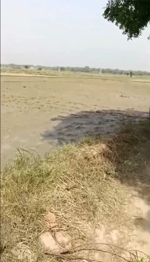 W6R8+F7 Kanagal, Nalgonda, Telangana, India