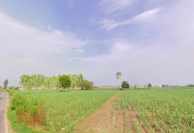 Mirapur, Uttar Pradesh, India