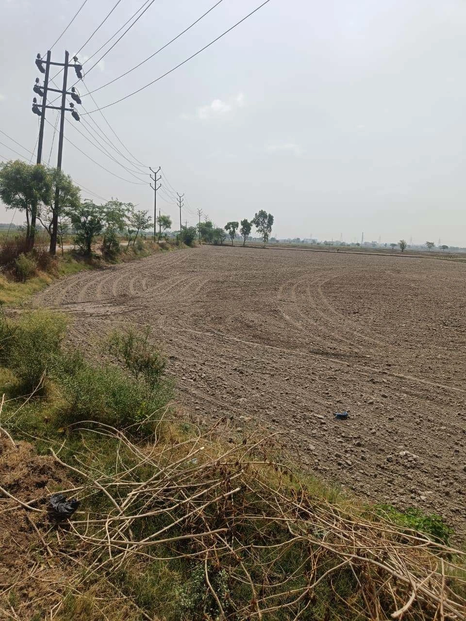 Aou, Rajasthan, India
