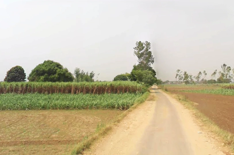 Vill Matora, Po, Mawana, Mataura, Uttar Pradesh 250401, India