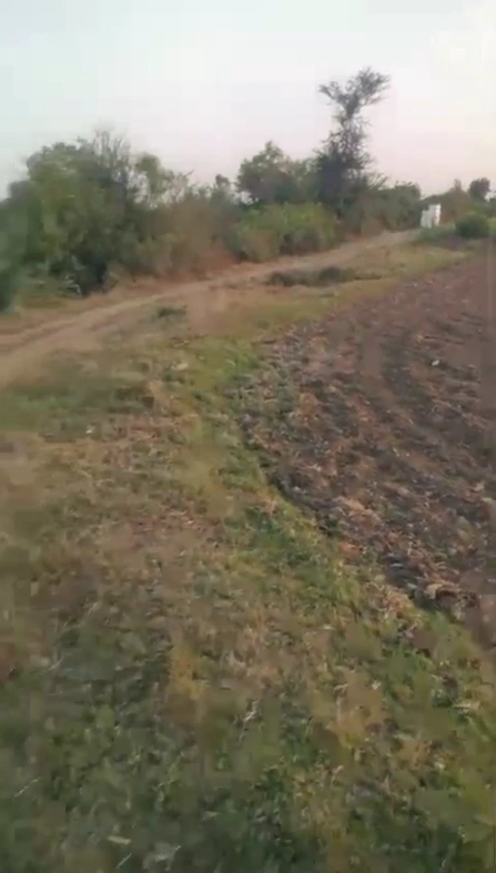 MR73+Q6 Pij, Gujarat, India preview 2