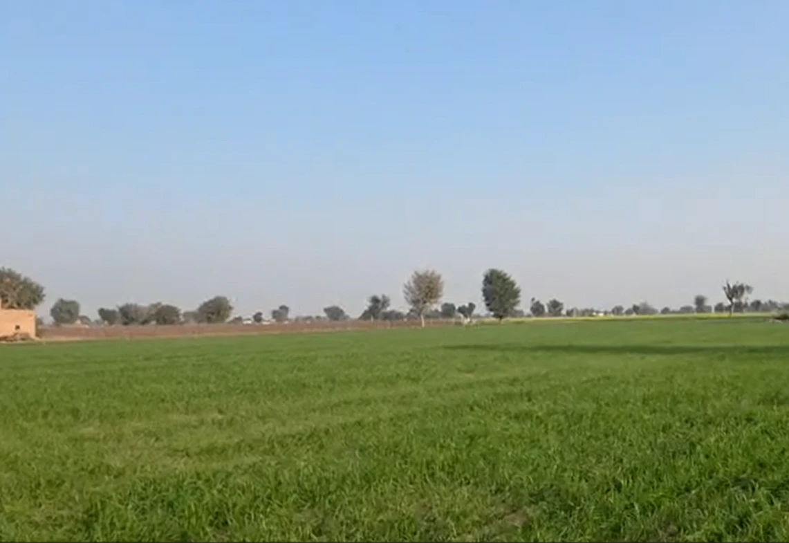 RXQ4+7V2, Kolayat, Rajasthan 334302, India