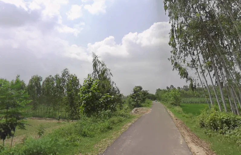 Manjhipur, Uttar Pradesh 247129, India preview 2