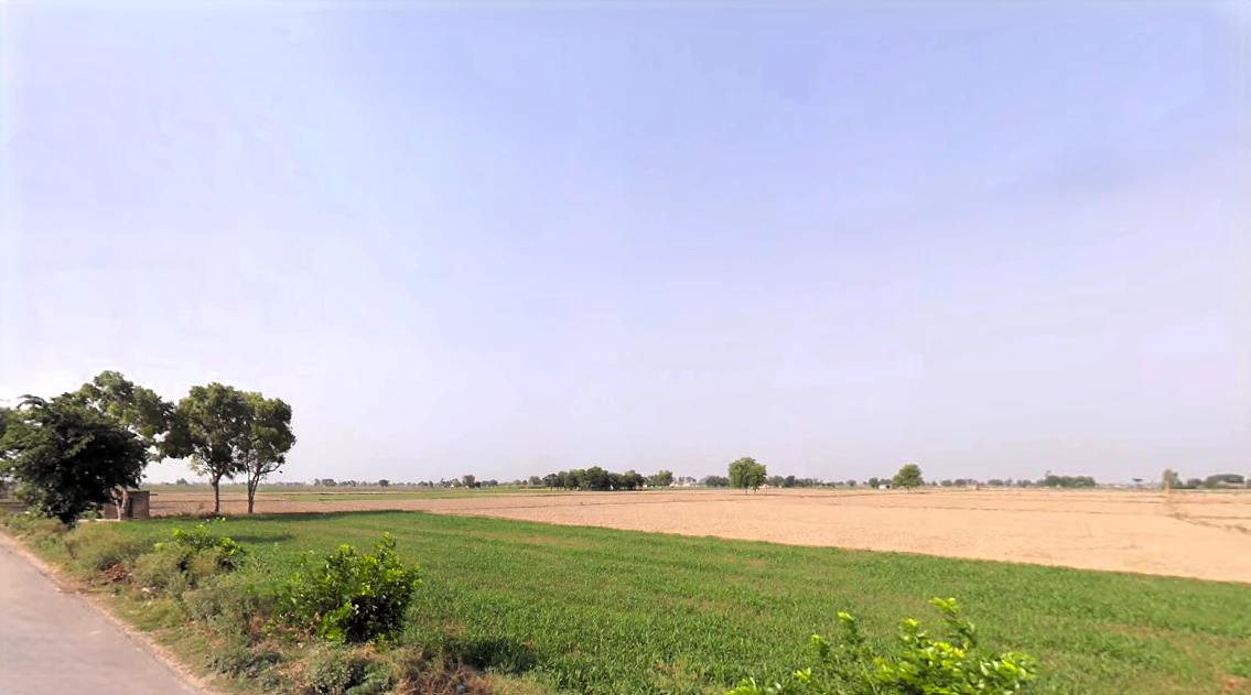 Datauli, Haryana 131101, India