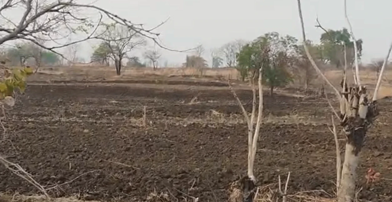 9CV9+C92, Adilabad, Warthamanoor, Telangana, India