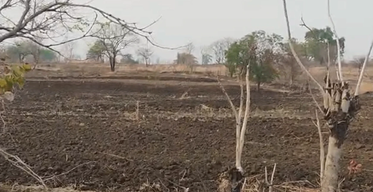 9CV9+C92, Adilabad, Warthamanoor, Telangana, India - Photo 3