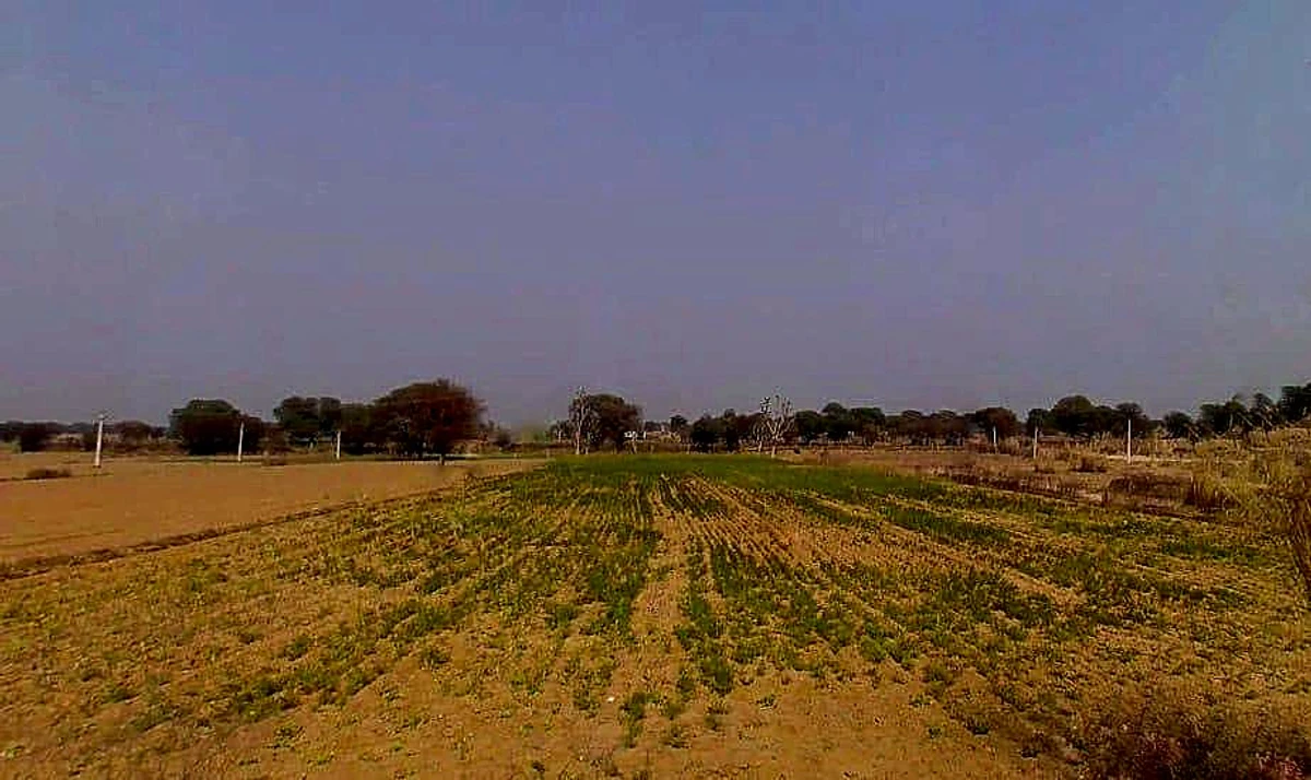 7XFG+554, Lakher, Rajasthan 303104, India