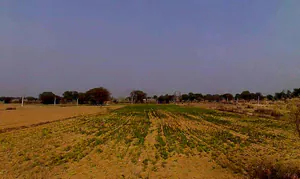 7XFG+554, Lakher, Rajasthan 303104, India preview 3