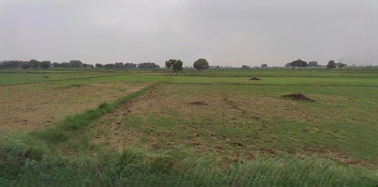 Bikaner, Rajasthan, India
