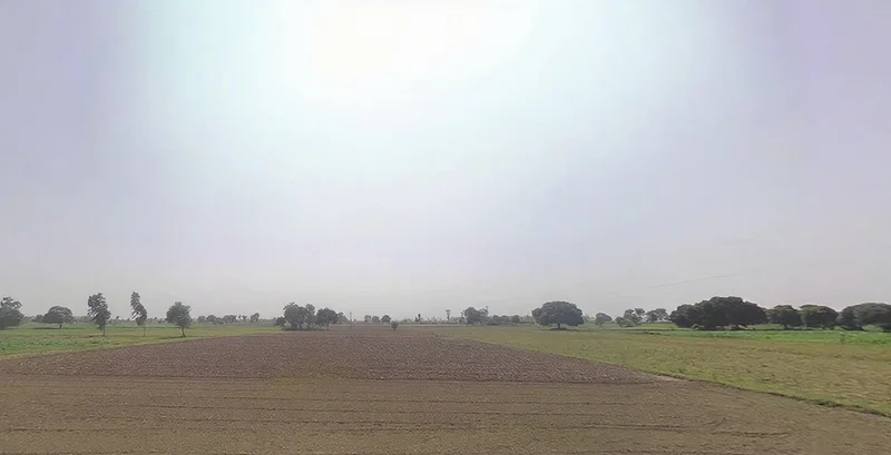 Brahman Majra, Haryana, India preview 2