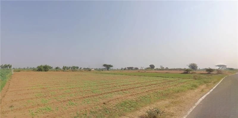 Matar, Gujarat 387530, India