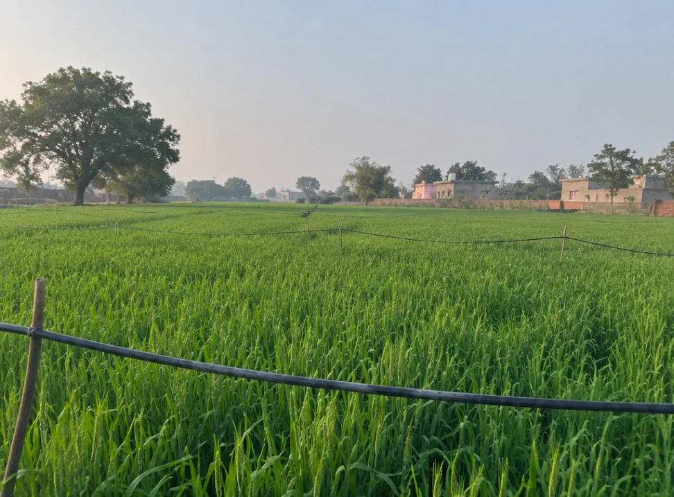Bhadana, Kota, Rajasthan 324002, India