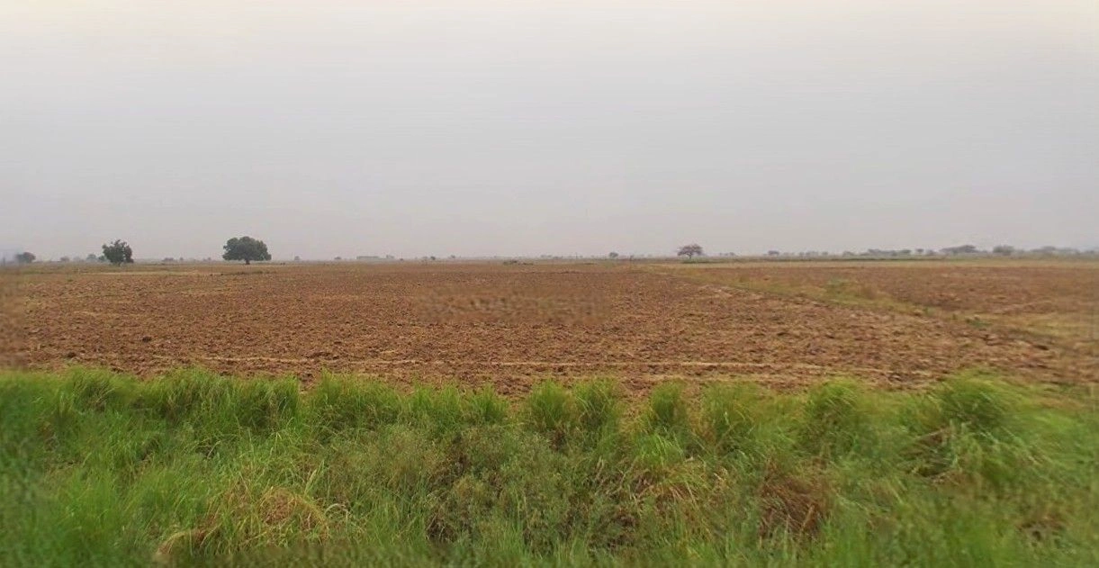 Bazpur, Uttarakhand 262401, India preview 2