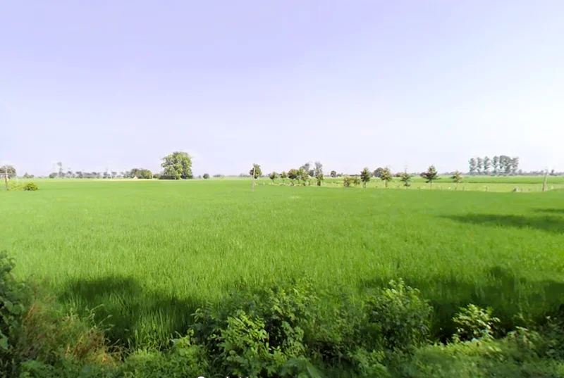 Keharwali, Haryana, India preview 2