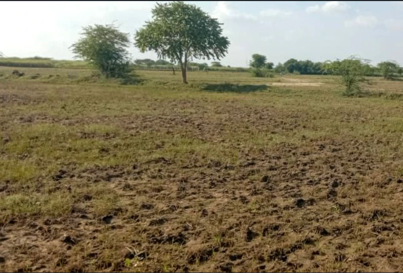 Chandan, Chhattisgarh 491335, India
