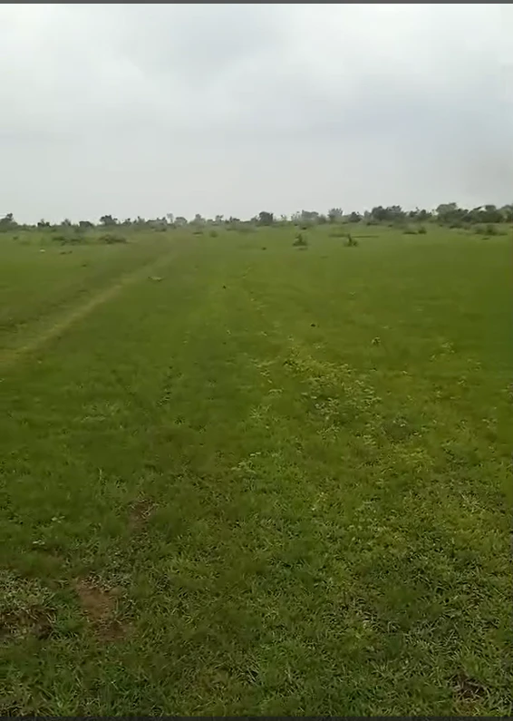 555, Bhopal, Berasia, Madhya Pradesh 463106, India
