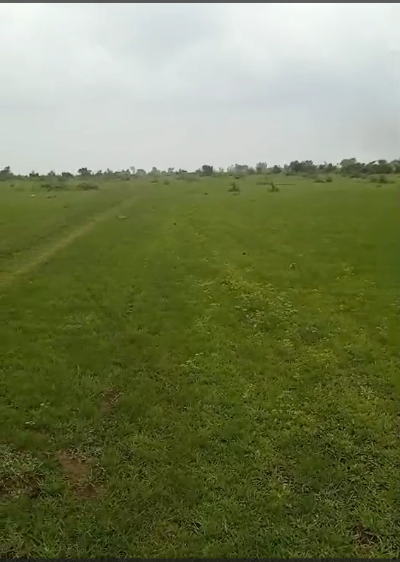 555, Bhopal, Berasia, Madhya Pradesh 463106, India