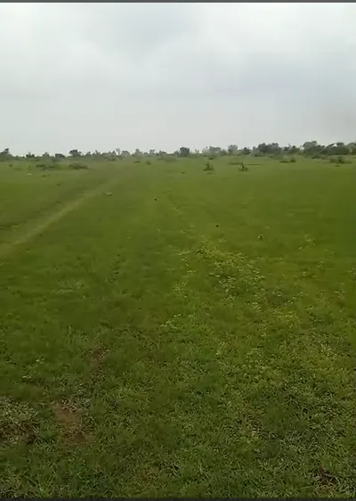 555, Bhopal, Berasia, Madhya Pradesh 463106, India preview 3