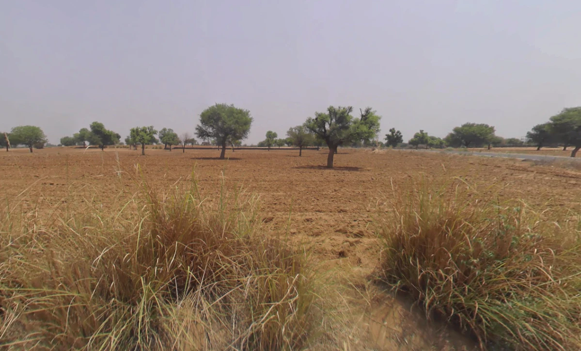 Morni Hills, Haryana, India