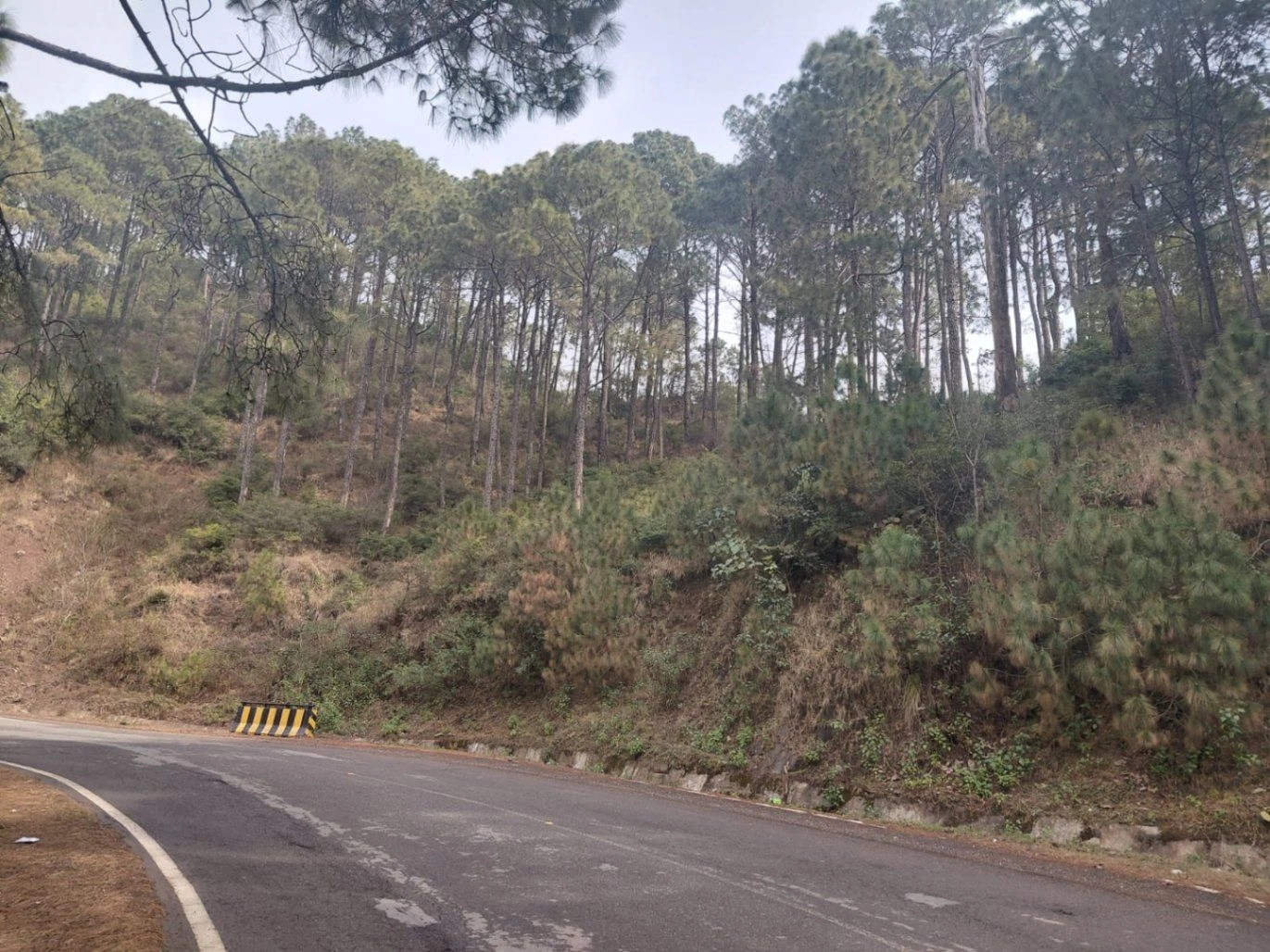 Morni Hills, Haryana, India