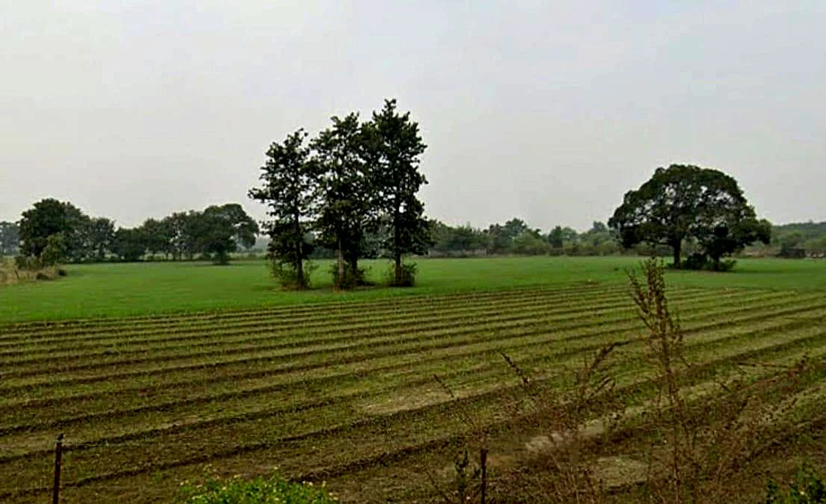 Ghasipura, Madhya Pradesh 462038, India