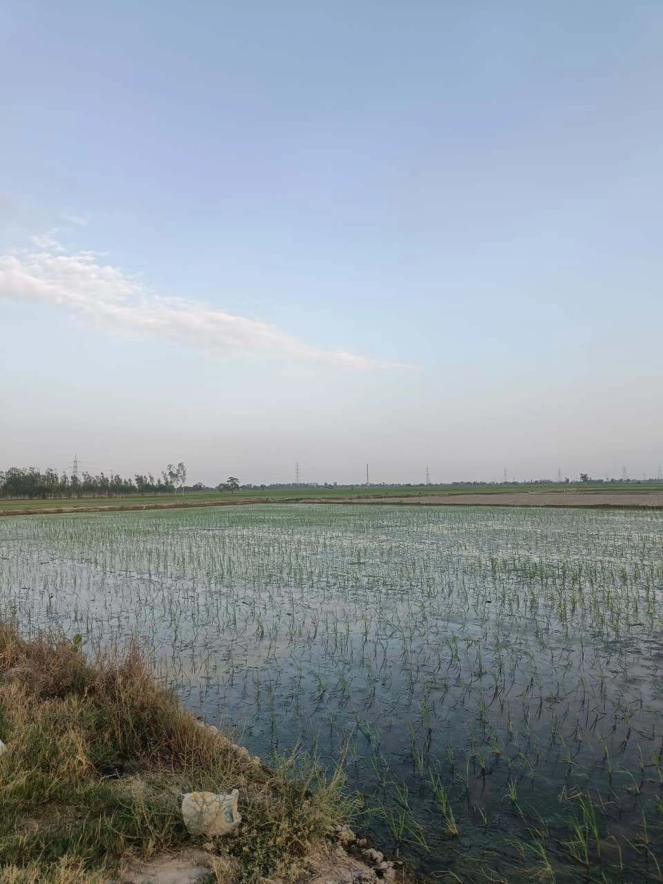 Sankhi, Uttar Pradesh 281401, India