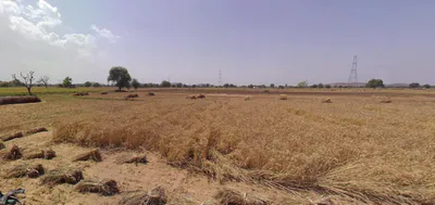 Reengus, Rajasthan, India preview 2
