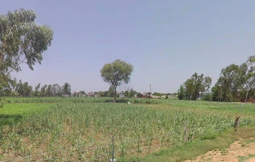 Gajraula, Uttar Pradesh, India