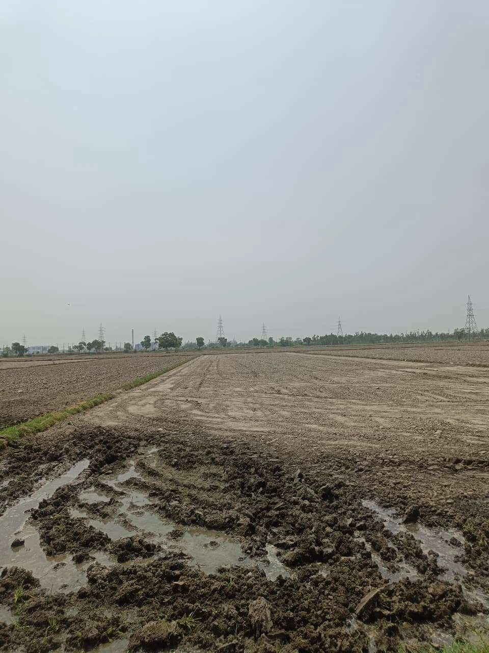 Sahar, Uttar Pradesh, India