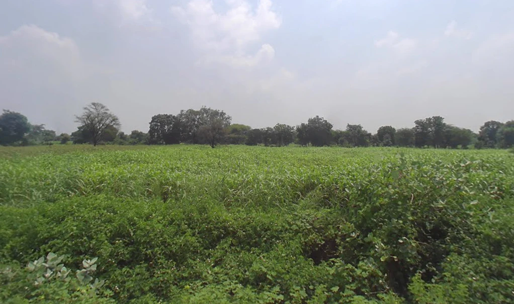 VPGQ+588, Karoli Ki Dhani, Rajasthan 313301, India