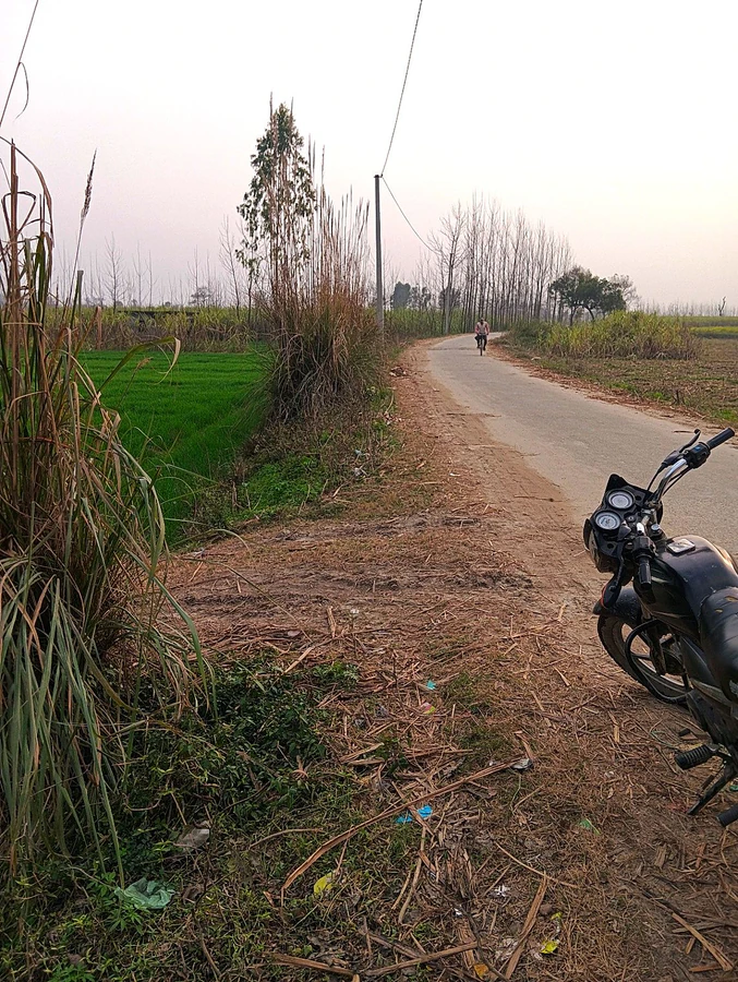 Raisi, Uttarakhand 247671, India