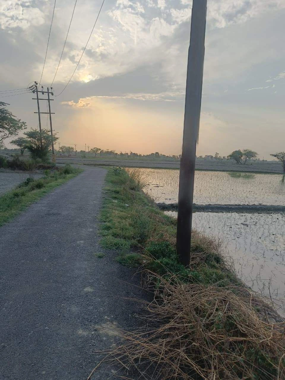 Aou, Rajasthan, India