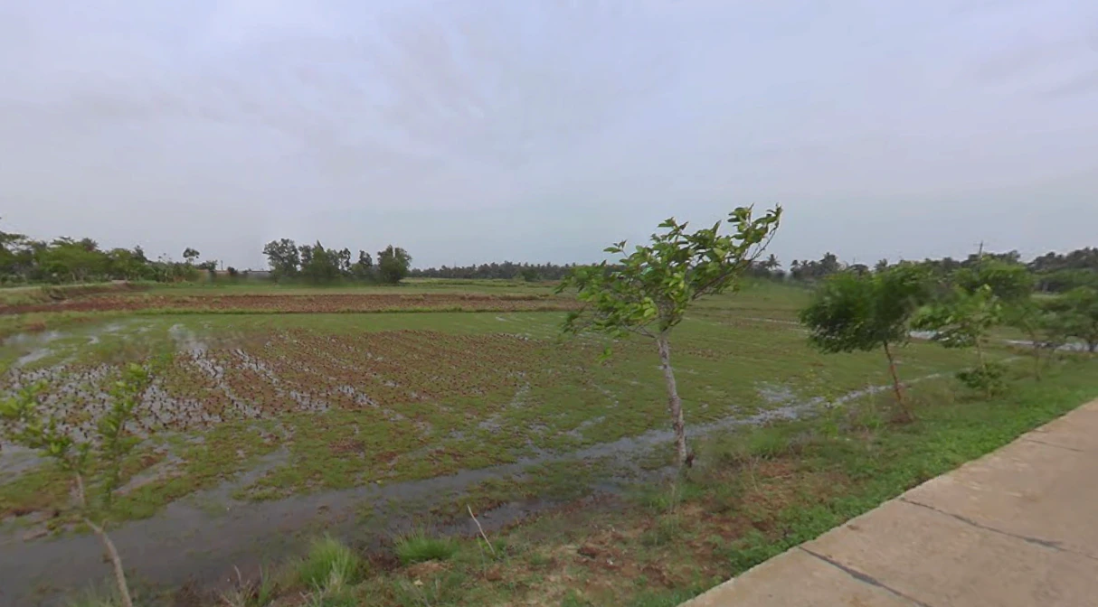 Sunamuhin Dam Rd, Odisha 752077, India