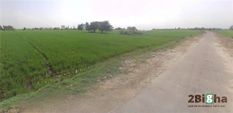 Pipaltha, Haryana 126116, India