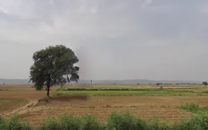 Mala Khera, Rajasthan 301406, India preview 3