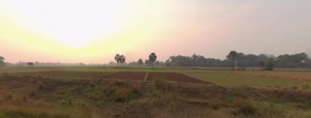 Dulhin Bazar - Naubatpur Rd, Pila Chak, Bihar, India