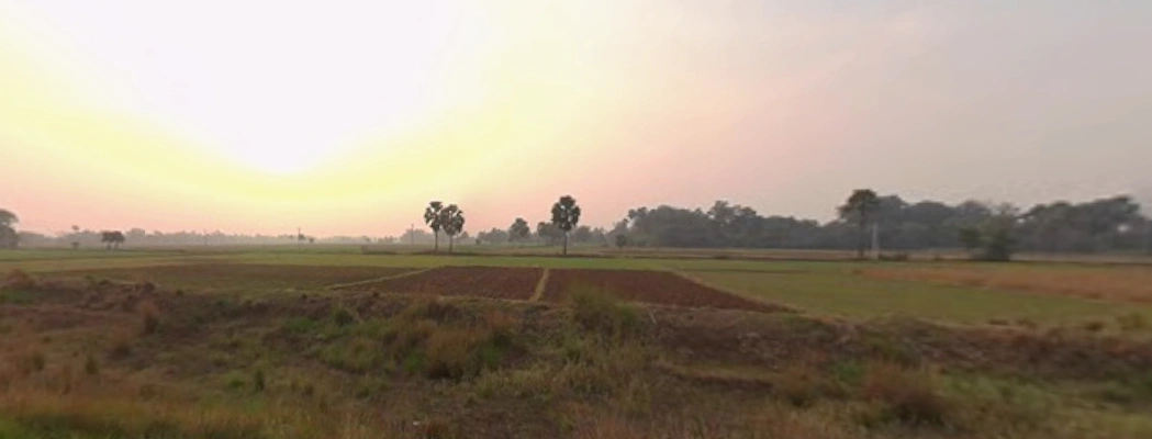 Dulhin Bazar - Naubatpur Rd, Pila Chak, Bihar, India