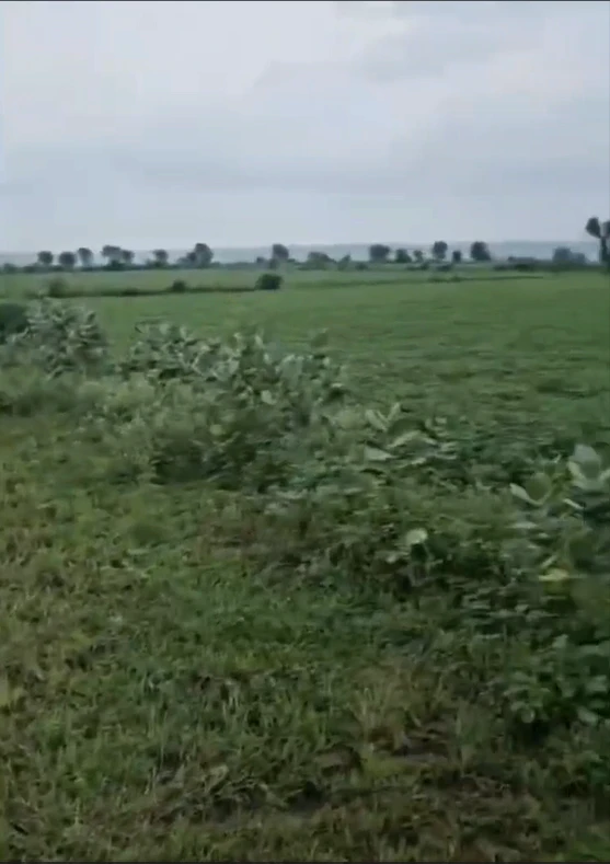 Ghorawal, Sonbhadra, Uttar Pradesh 231210, India