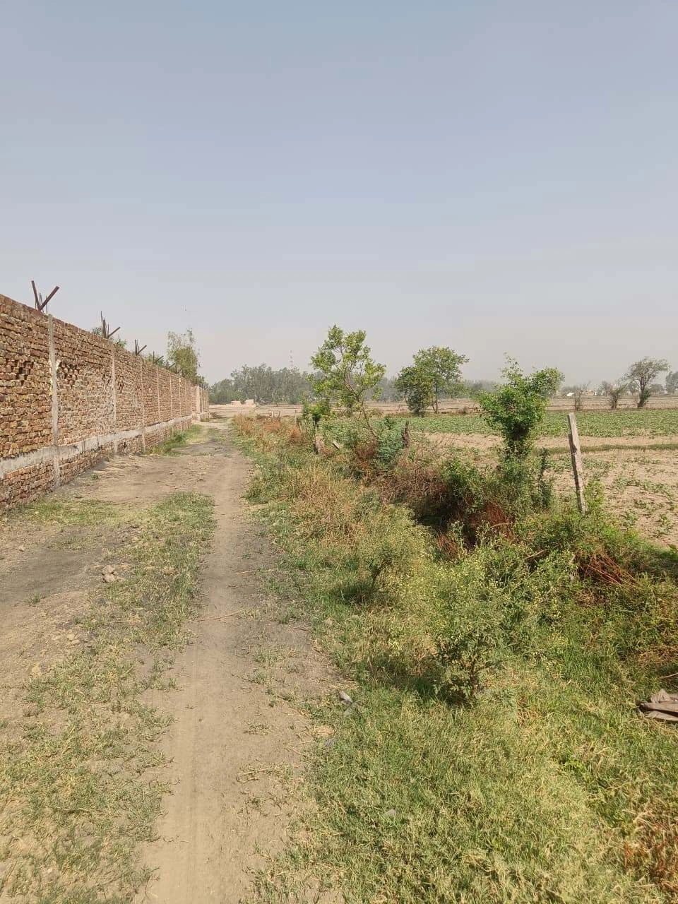 Ajhai Kalan, Uttar Pradesh 281406, India