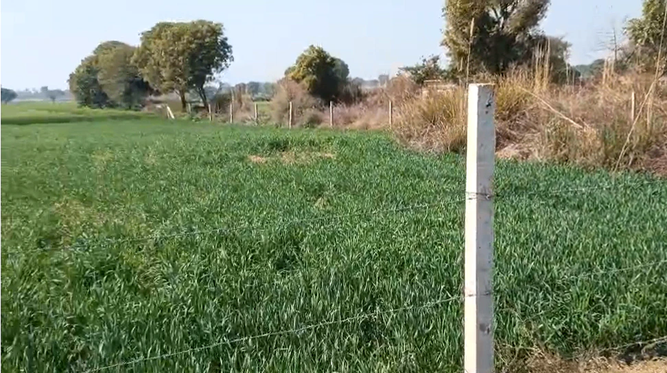 5F3V+F2 Shyampura, Sawai Madhopur, Rajasthan, India