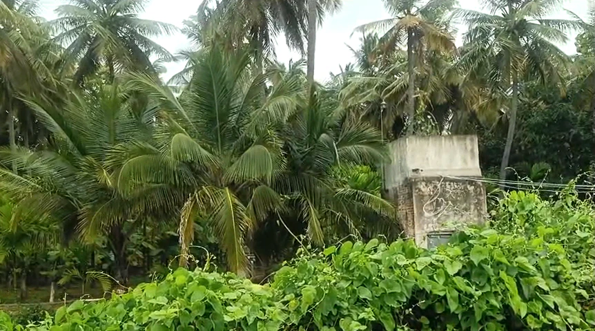 Meghalapura, Karnataka 571130, India