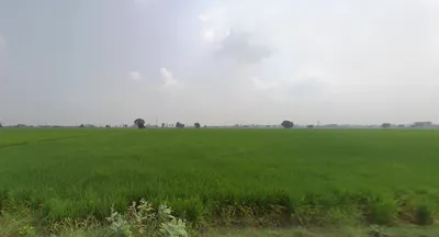 Raisen Rd, Anandnagar, Bhopal, Madhya Pradesh, India preview 2