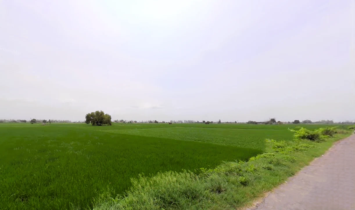 Nissing, Haryana 132024, India