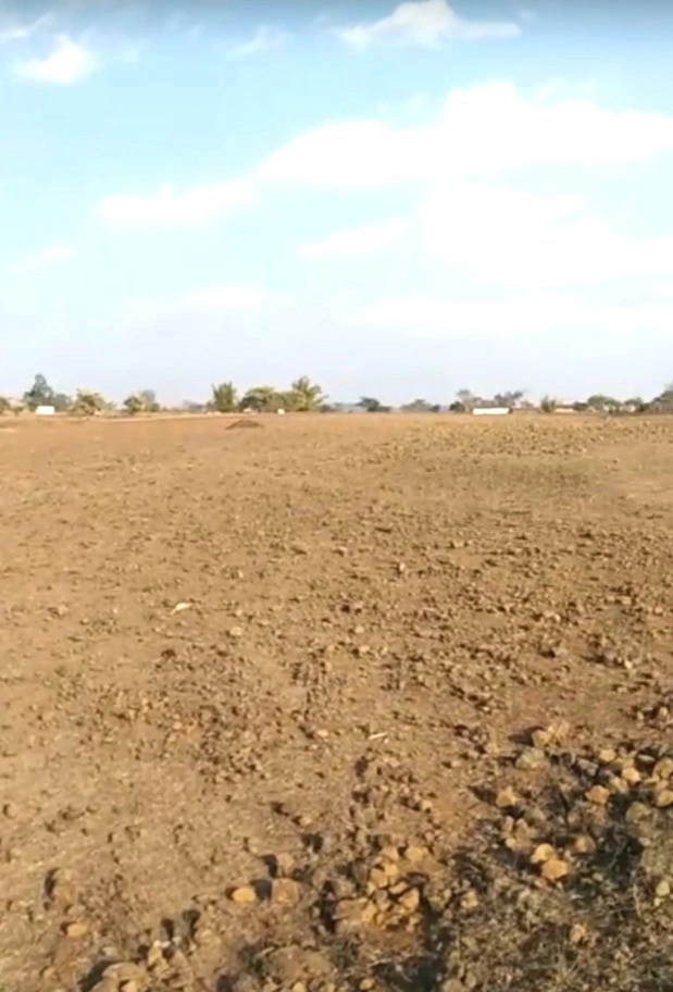 Bijapuri, Madhya Pradesh, India