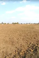 Bijapuri, Madhya Pradesh, India preview 3