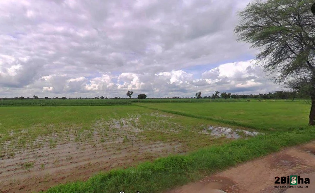 Muskara, Uttar Pradesh 210506, India