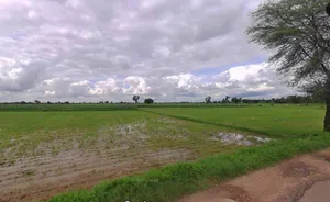 Muskara, Uttar Pradesh 210506, India preview 3